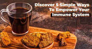 chaga mushroom coffee pods for keurig