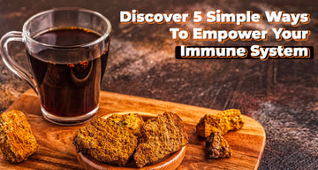 chaga mushroom coffee pods for keurig