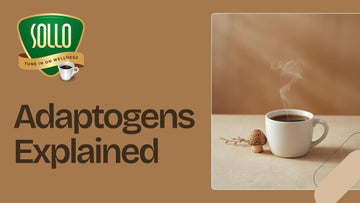 Adaptogens Explained: The Superheroes Inside Your Cup