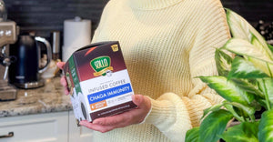 🌞 Why Chaga Mushroom Coffee Is the Summer Superdrink You Didn’t Know You Needed
