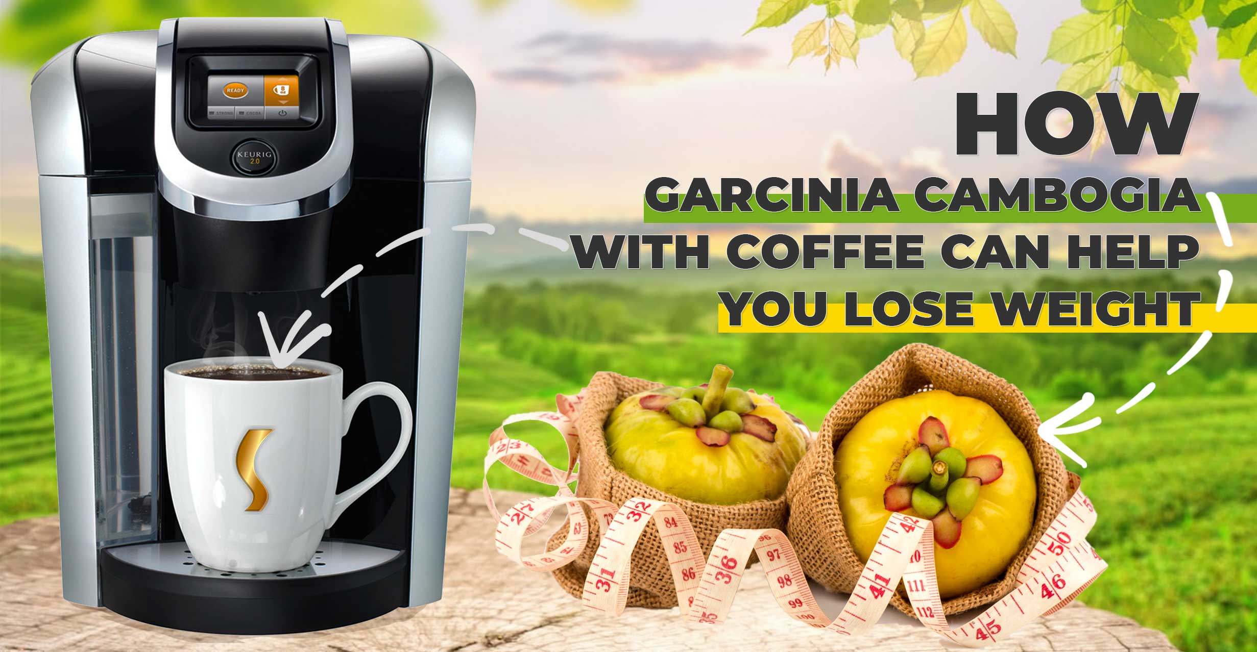 Can I Drink Coffee After Taking Garcinia Cambogia