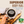 Chaga Mushroom Coffee Pods