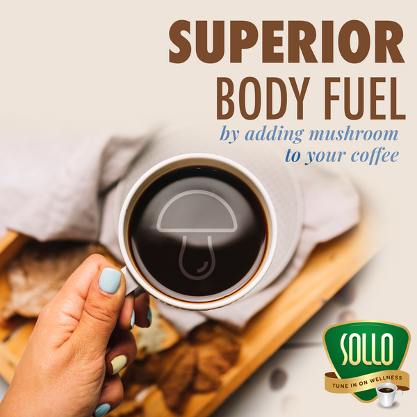 Chaga Mushroom Coffee Pods